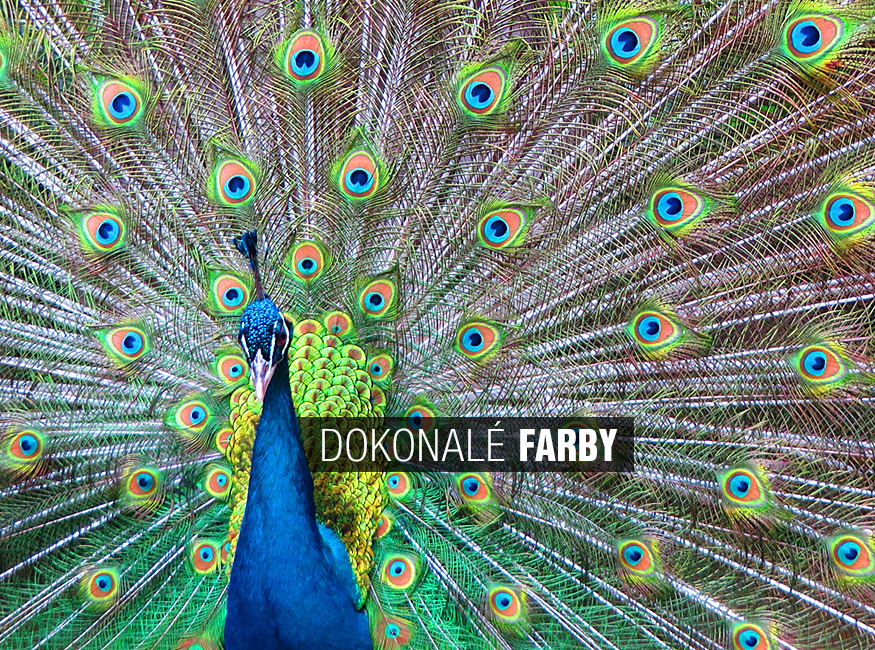 dokonale farby