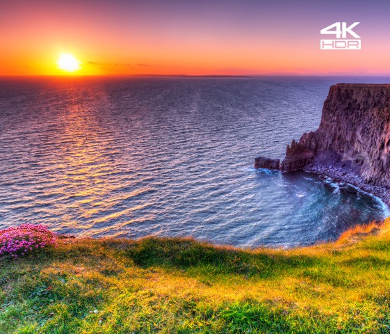4k panasonic